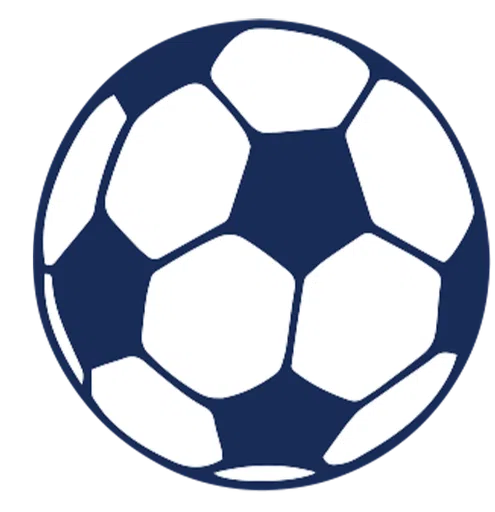 Long Island Junior Soccer League Inc logo
