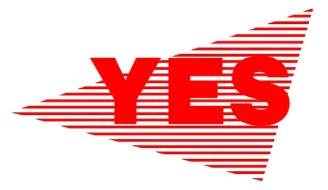 West Islip Youth Enrichment Services Incorporated logo