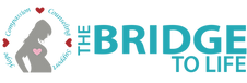 Bridge to Life Inc logo