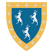 Medieval Scenarios and Recreations Inc logo