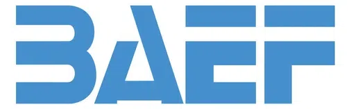 Belgian American Educational Foundation Inc logo
