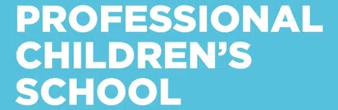 Professional Childrens School Inc logo