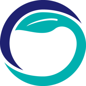 Technoserve Inc logo
