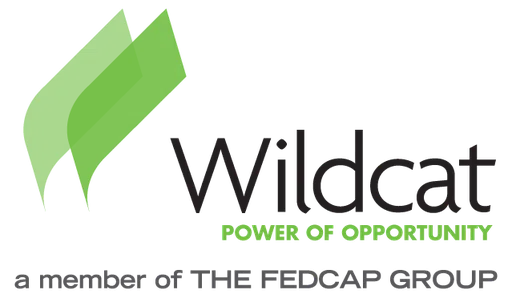 Wildcat Service Corporation logo