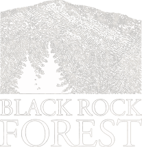Black Rock Forest Consortium Inc logo