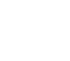 New Visions for Public Schools Inc logo