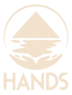 Hands Along the Nile Development Services Inc logo