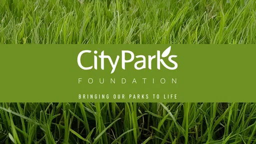 City Parks Foundation Inc logo
