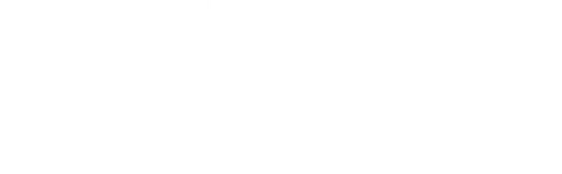 The Brotherhood Sister Sol Inc logo