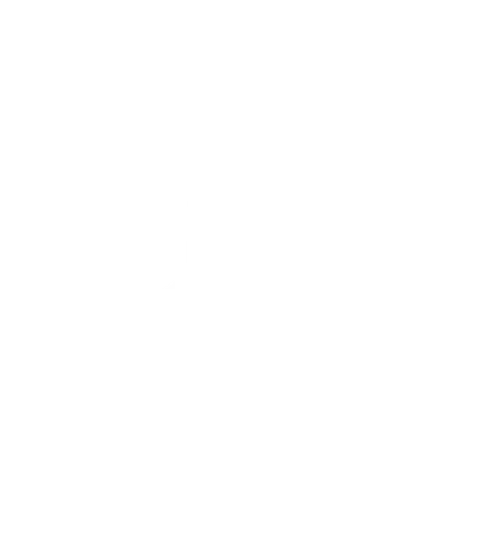 Lantern Organization Inc logo