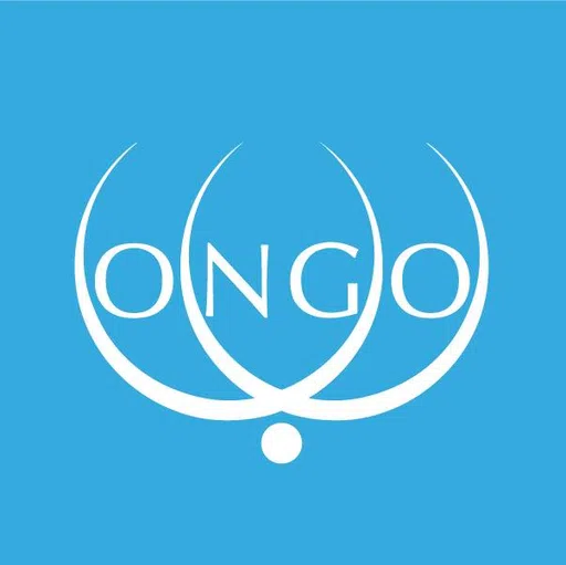 Conference of Non-Governmental Organizations Foundation Inc logo