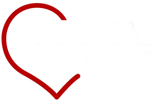 Animal Nation Inc logo