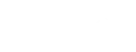 The Nasw Foundation Inc logo