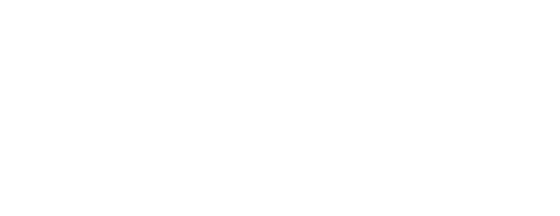 The Nasw Foundation Inc logo