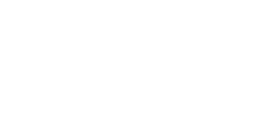Corporate Angel Network Inc logo