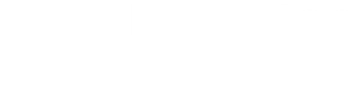 Princeton in Asia Inc logo