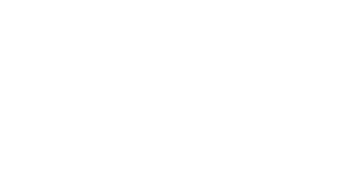 Girl Scouts of Northeastern New York logo