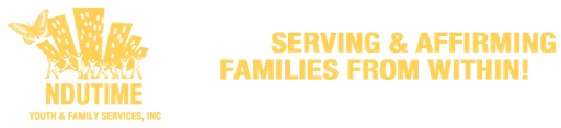 Ndutime Youth & Family Services logo