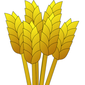 The Union Agricultural Society at Palmyra logo