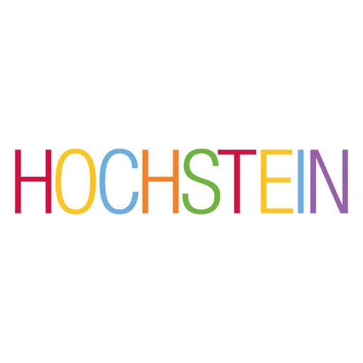 David Hochstein Memorial Music School Inc logo