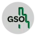 Graduate Student Organization at the State U of NY at Binghamton logo