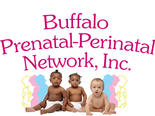 Buffalo Prenatal-Perinatal Network Inc logo