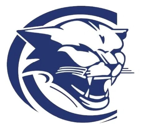 Carnegie-Scranton Recreation Association logo