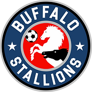 North American Soccer Association Ltd logo