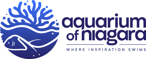 Niagara Aquarium Foundation logo