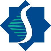 Southern Tier Health Care System Inc logo