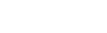 Rochester Lesbian & Gay Film & Video Festival Inc logo