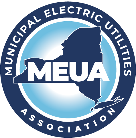 New York Municipal Power Agency logo
