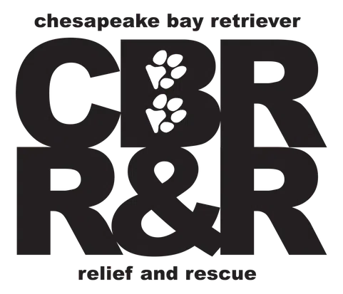 Chesapeake Bay Retriever Relief and Rescue Inc logo