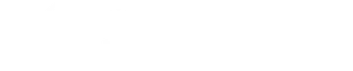 Snowshoe Foundation Inc logo