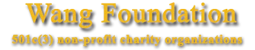 Wang Foundation for Sight Restoration logo