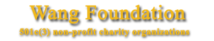 Wang Foundation for Sight Restoration logo