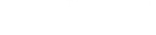 Bristol Public Library Foundation logo