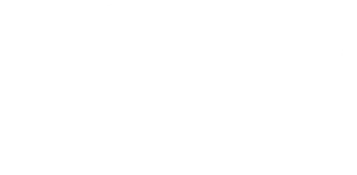 International Cultural Exchange Inc logo