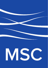 Movement Strategy Center logo