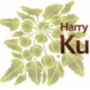 Kukui Childrens Foundation logo