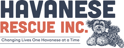 Havanese Rescue Inc logo