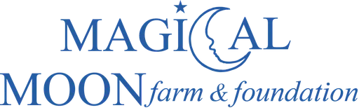 Magical Moon Foundation logo