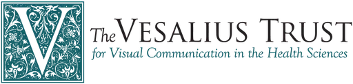 Vesalius Foundation for Visual Communications in the Health SCI logo