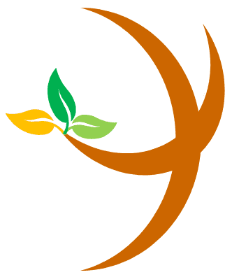 Sole Ministries logo