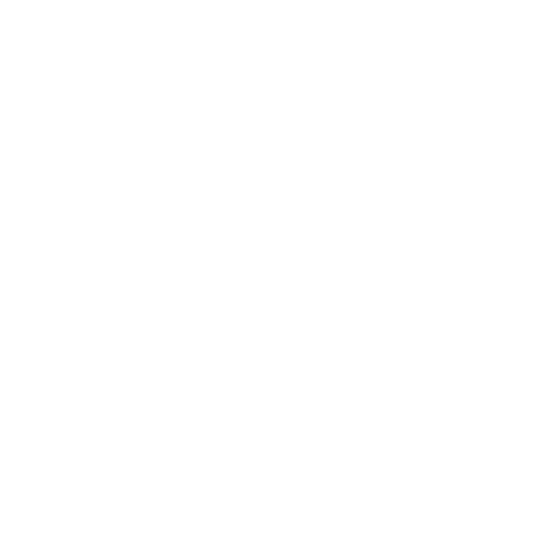Endure International Inc logo