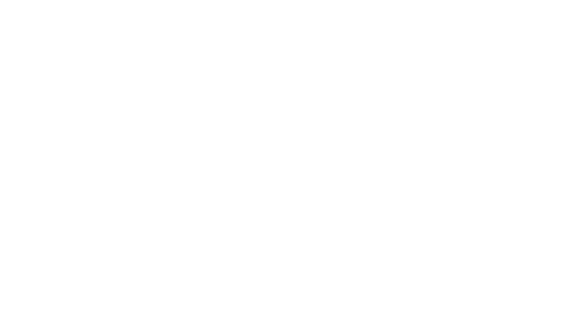 Downtown Sturgis Foundation logo