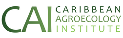 Vermont Caribbean Institiute Inc logo
