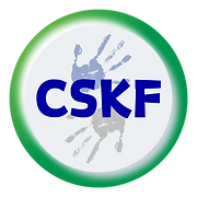 Creative Solutions for Kids & Families Inc logo