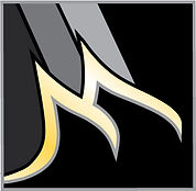 Mansfield High School Tiger Band Boosters logo
