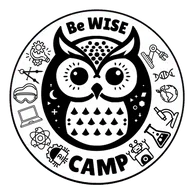Be Wise Camp logo